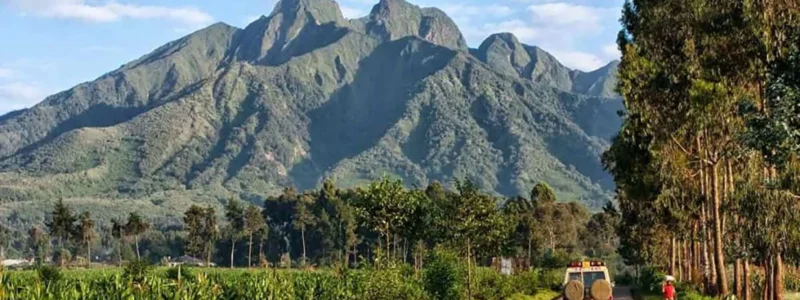 volcanoes 2 12 Days Serengeti Masai Mara and Gorillas