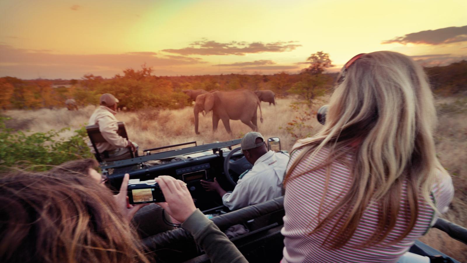 When to Go to Kruger National Park