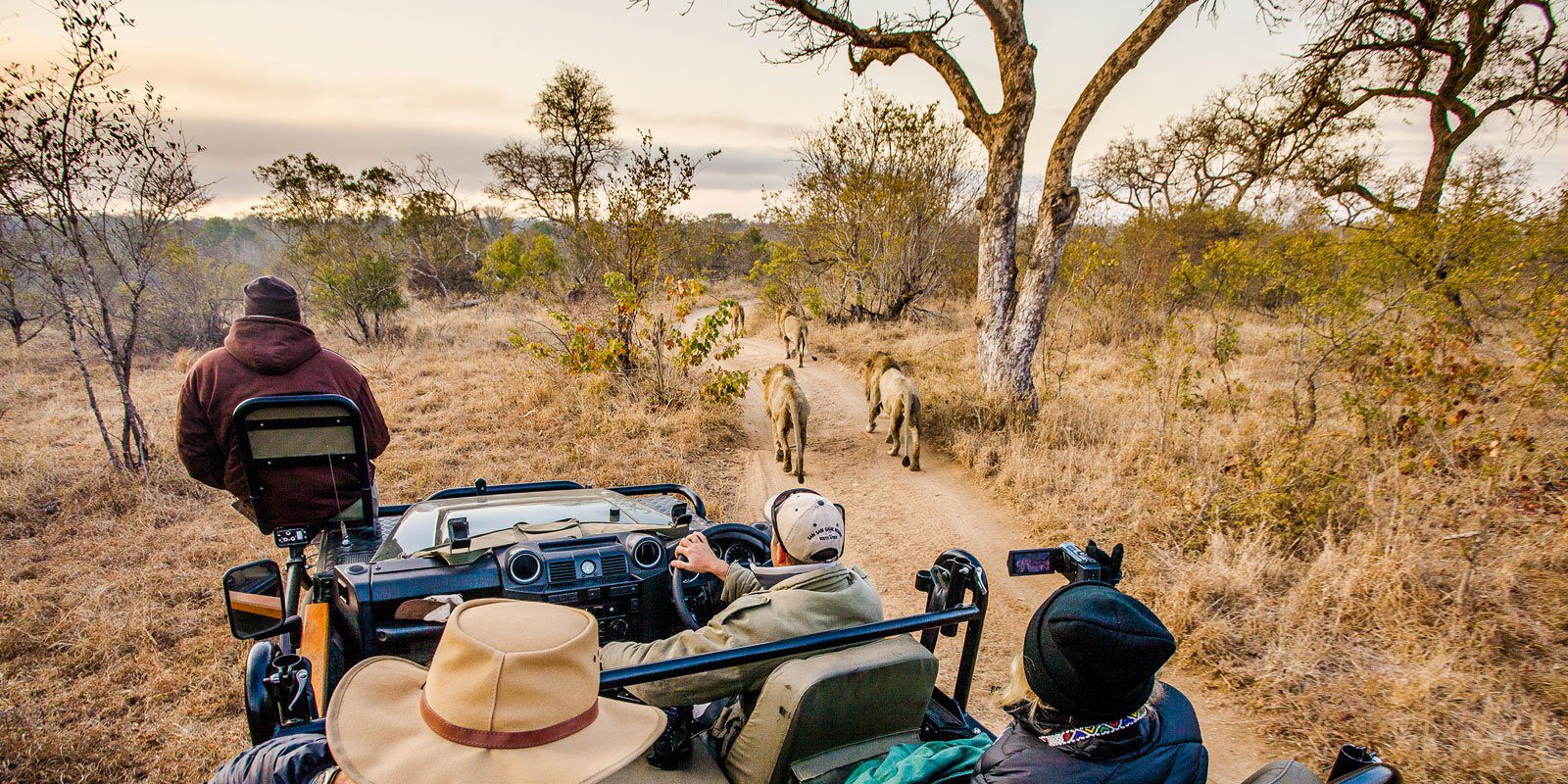 Safari Packages to Kruger National Park
