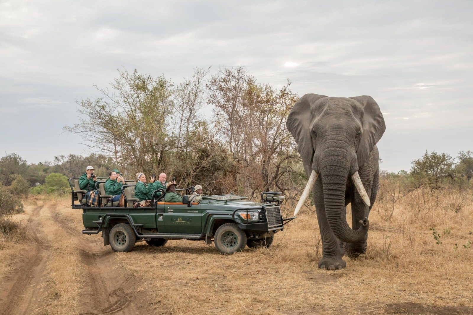 Why Go to Kruger National Park