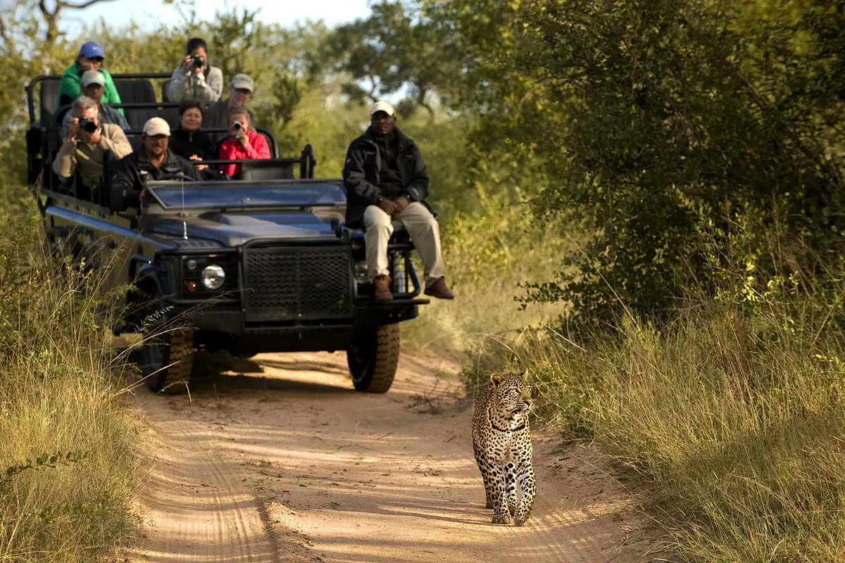 When to Go to Kruger National Park