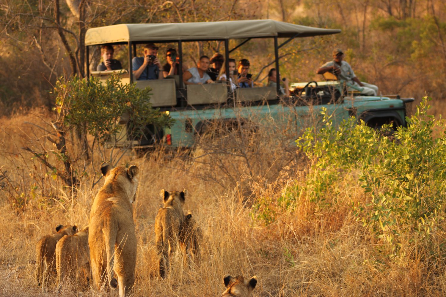 Where to Go in Kruger National Park