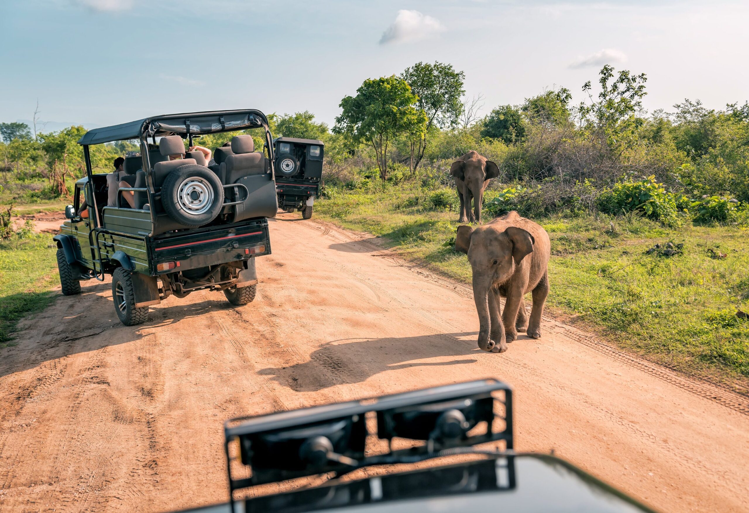 When to Go to Kruger National Park