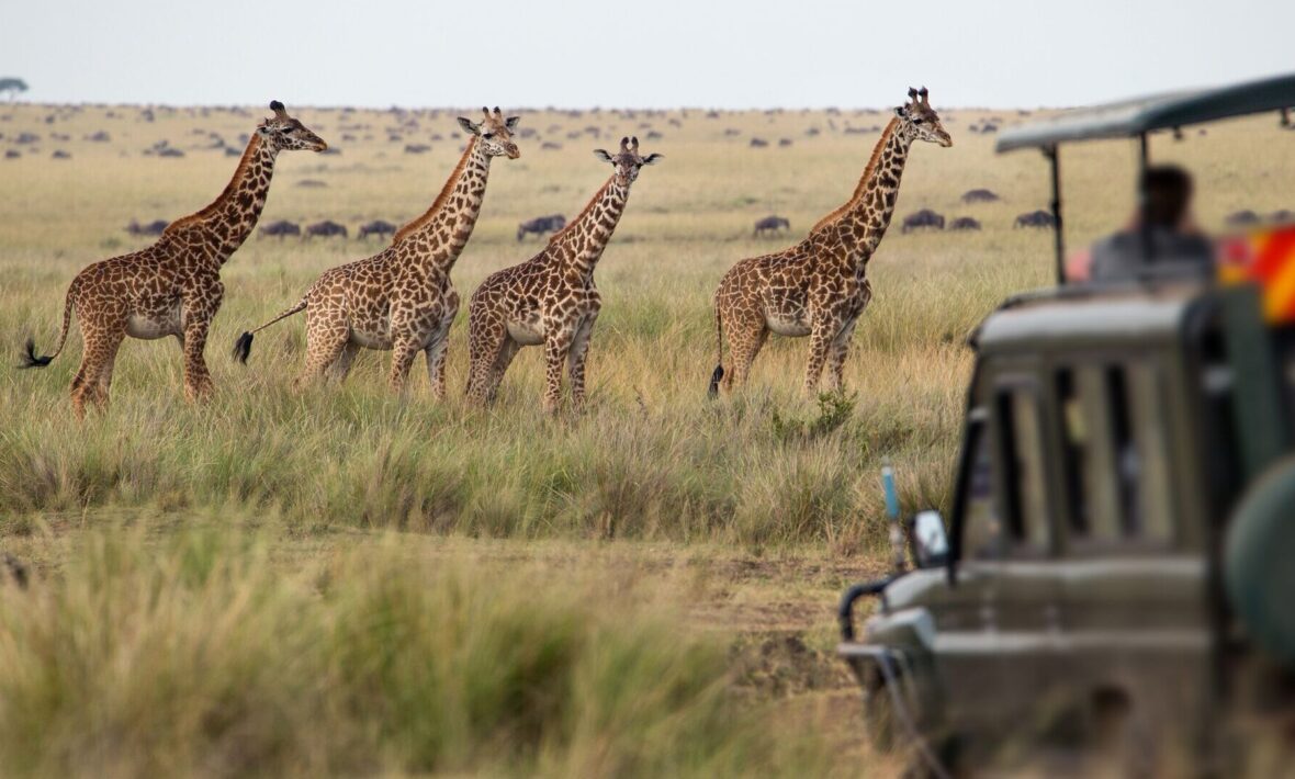 Safari Packages to Kruger National Park