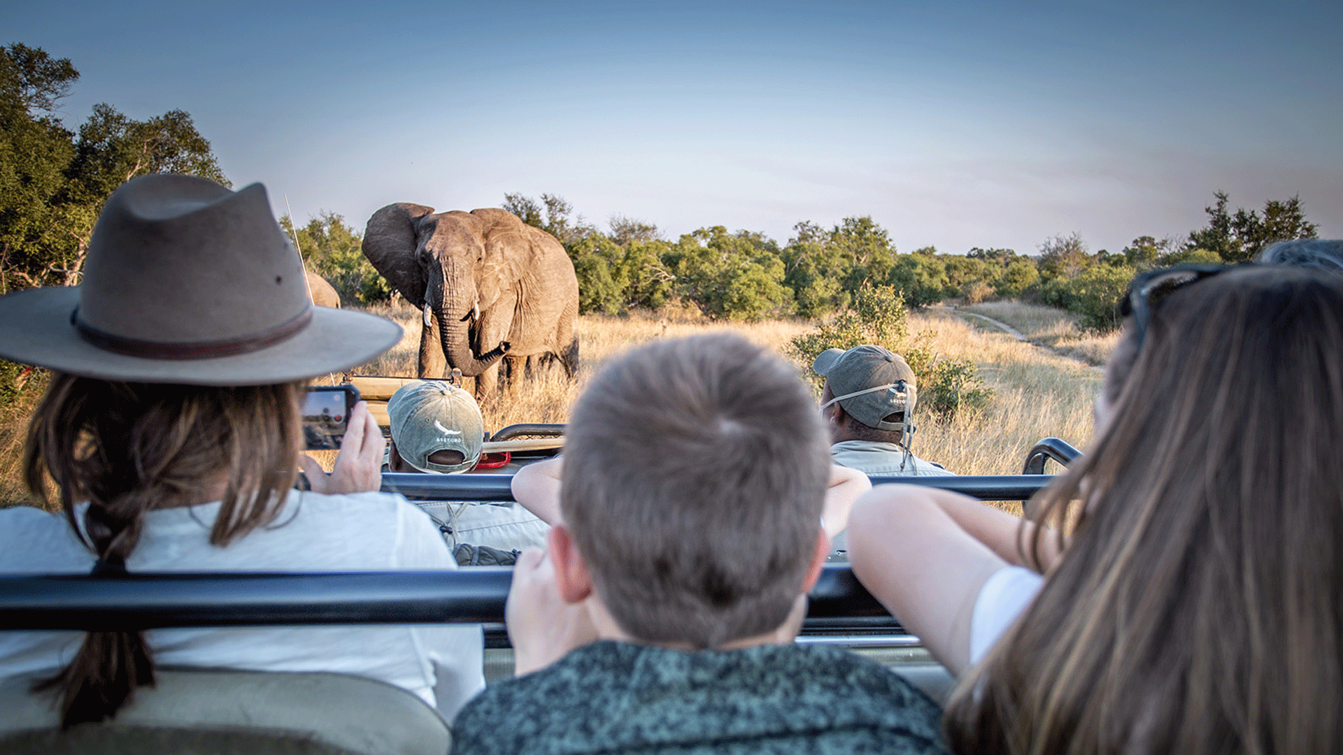 Kruger National Park Travel Advice